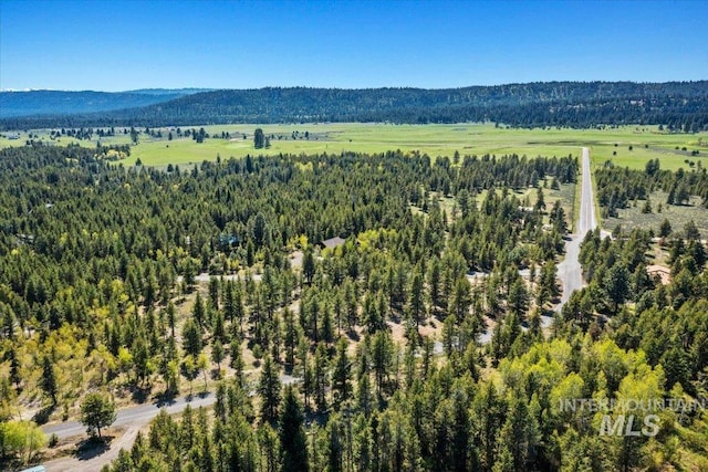 LOT4 Chad Dr, Mccall, ID 83638
