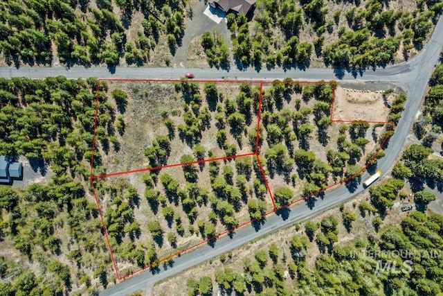 LOT4 Chad Dr, Mccall, ID 83638