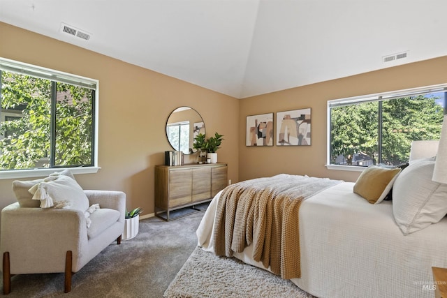 964 E Riverpark Ln, Boise, ID 83706 - bedroom with multiple windows, carpet, and vaulted ceiling