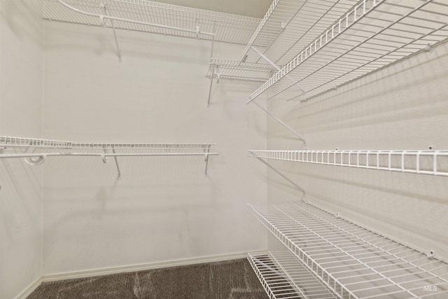964 E Riverpark Ln, Boise, ID 83706 - view of spacious closet