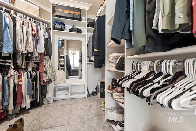 walk in closet featuring carpet