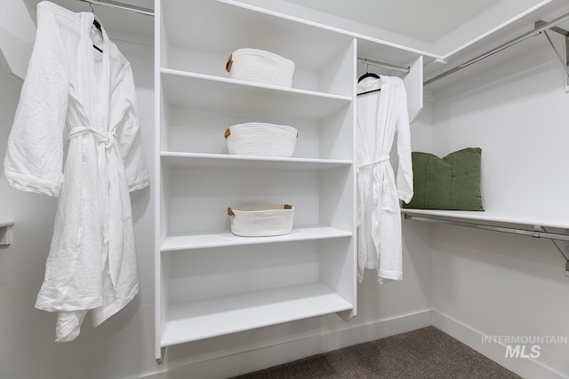 8002 W Fern St, Eagle, ID 83616 - walk in closet featuring carpet flooring