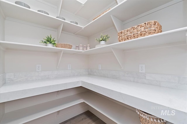 view of pantry