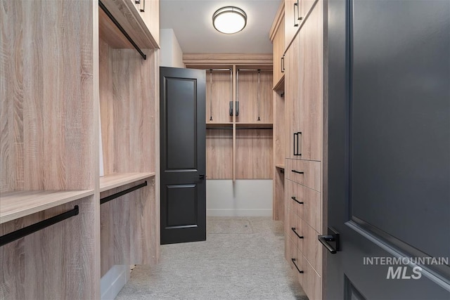spacious closet featuring light colored carpet