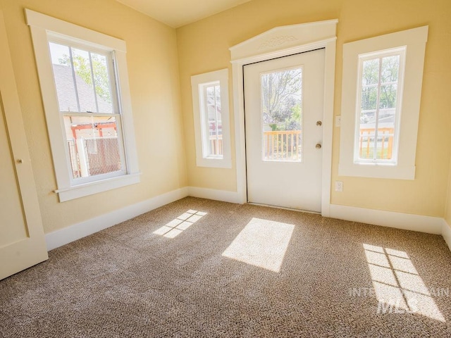 entryway with carpet flooring and a wealth of natural light