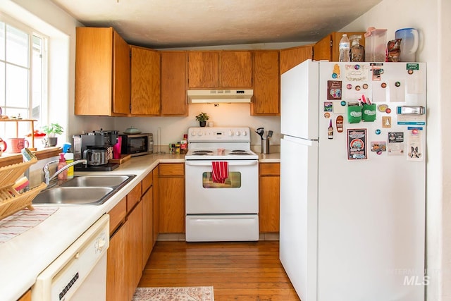 134 Maple Ave, Hansen, ID 83334 - kitchen featuring white appliances, under cabinet range hood, a sink, light countertops, and light wood-style flooring