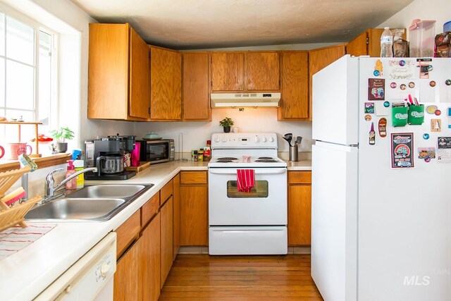 134 Maple Ave, Hansen, ID 83334 - kitchen with white appliances, under cabinet range hood, a sink, light wood-type flooring, and light countertops