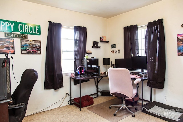 134 Maple Ave, Hansen, ID 83334 - home office with healthy amount of natural light