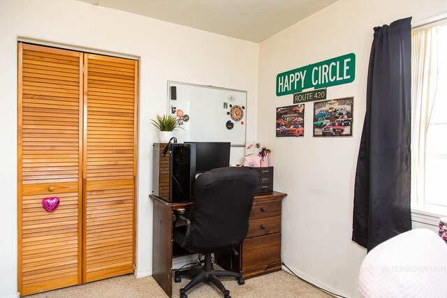 134 Maple Ave, Hansen, ID 83334 - view of carpeted office