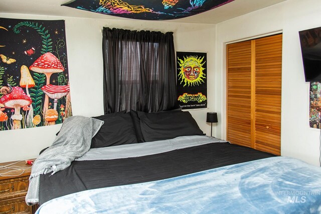 134 Maple Ave, Hansen, ID 83334 - bedroom with a closet