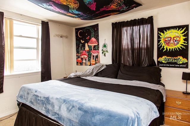 134 Maple Ave, Hansen, ID 83334 - carpeted bedroom featuring multiple windows and baseboards