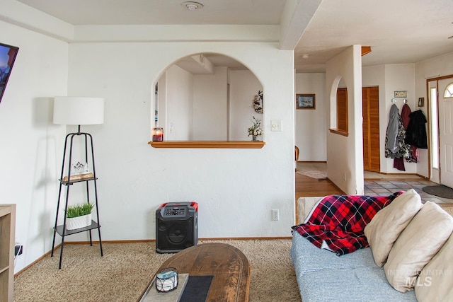 134 Maple Ave, Hansen, ID 83334 - living room featuring arched walkways, baseboards, and carpet floors