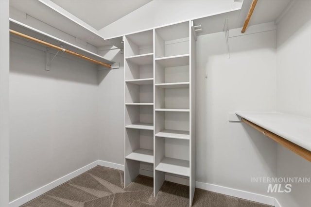 6472 S Liveoak Pl, Boise, ID 83716 - spacious closet featuring carpet floors