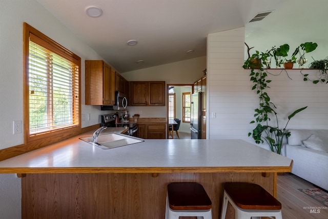 12281 W Norway St, Boise, ID 83713 - kitchen with appliances with stainless steel finishes, a peninsula, vaulted ceiling, a sink, and dark wood-type flooring