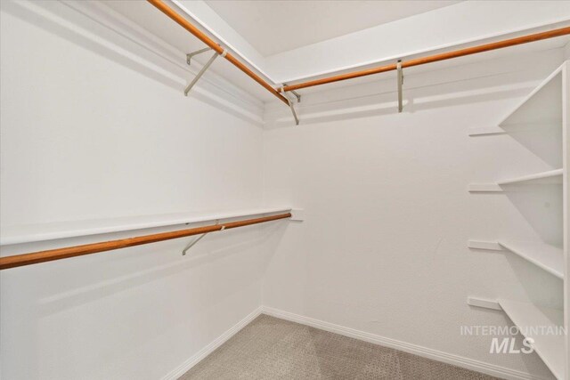 1825 E Seaside Ct, Boise, ID 83706 - spacious closet with light colored carpet