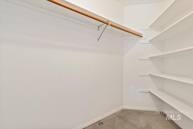 1825 E Seaside Ct, Boise, ID 83706 - spacious closet featuring carpet