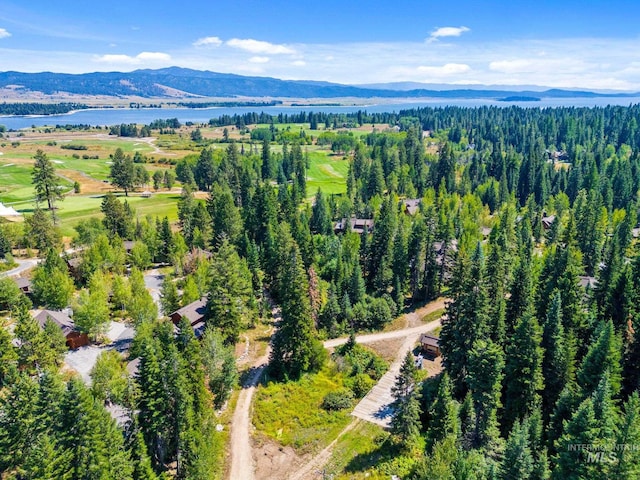 aerial view with a water and mountain view