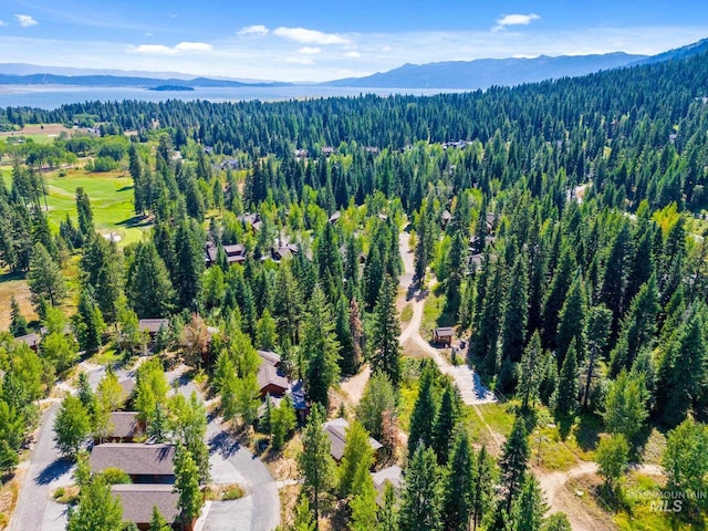 birds eye view of property featuring a mountain view