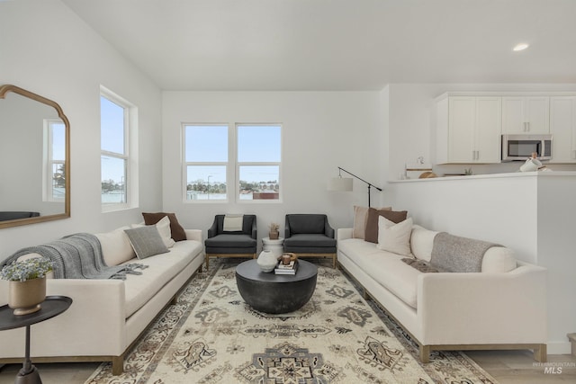 living room featuring wood-type flooring