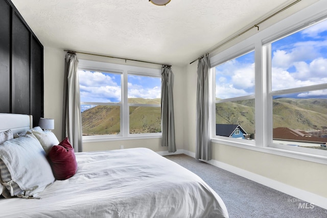 44 Shoemaker Dr, Horseshoe Bend, ID 83629 - bedroom featuring carpet, baseboards, and a textured ceiling