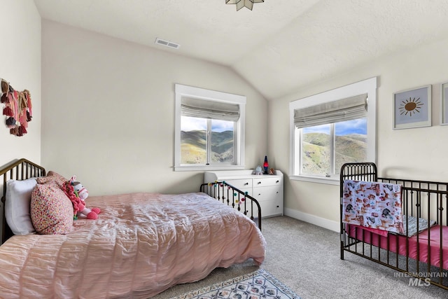 44 Shoemaker Dr, Horseshoe Bend, ID 83629 - carpeted bedroom with lofted ceiling and baseboards