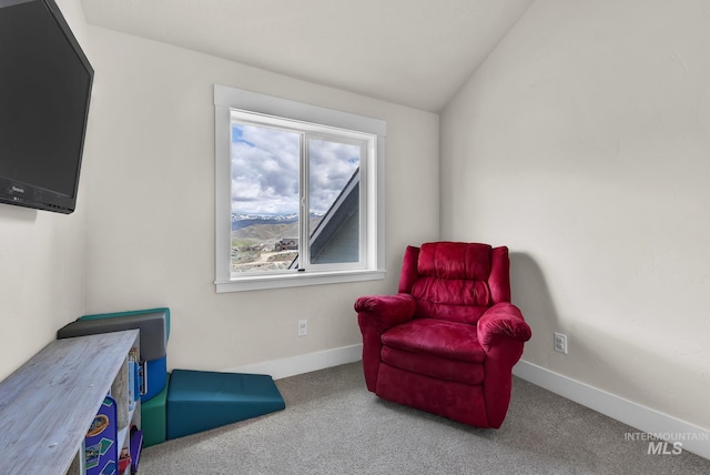 44 Shoemaker Dr, Horseshoe Bend, ID 83629 - living area with carpet flooring and baseboards