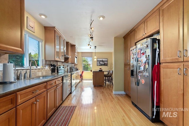 kitchen featuring tasteful backsplash, rail lighting, light wood-type flooring, appliances with stainless steel finishes, and sink