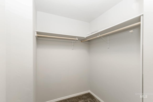 walk in closet featuring dark carpet