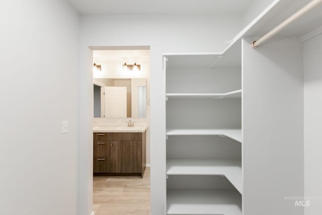 spacious closet featuring a sink and light wood-type flooring