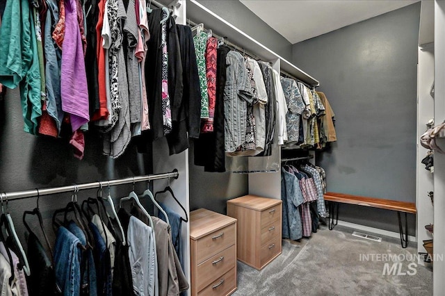 2942 E Eastgate Dr, Boise, ID 83716 - spacious closet with carpet floors