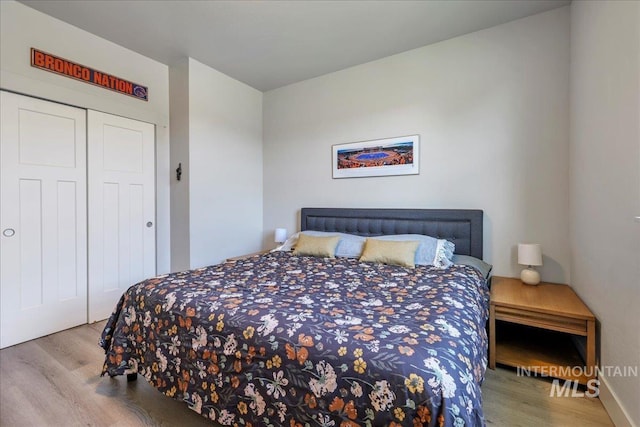 837 Trout Creek Way, Kimberly, ID 83314 - bedroom with wood finished floors and a closet
