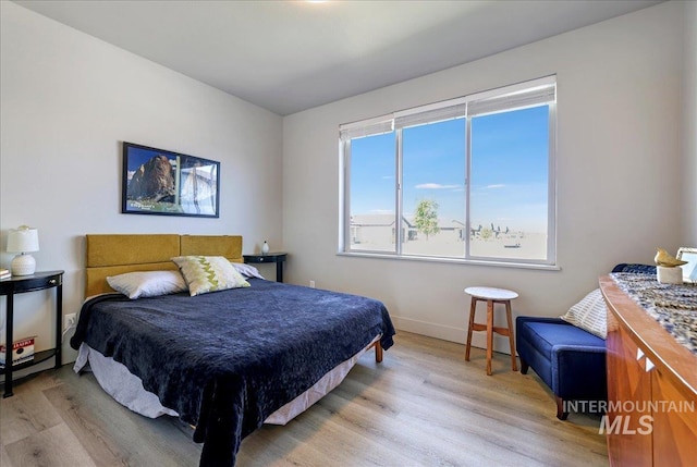 837 Trout Creek Way, Kimberly, ID 83314 - bedroom featuring light wood-type flooring