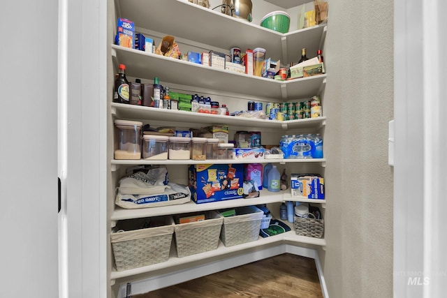 3031 N Christian Way, Meridian, ID 83646 - view of pantry