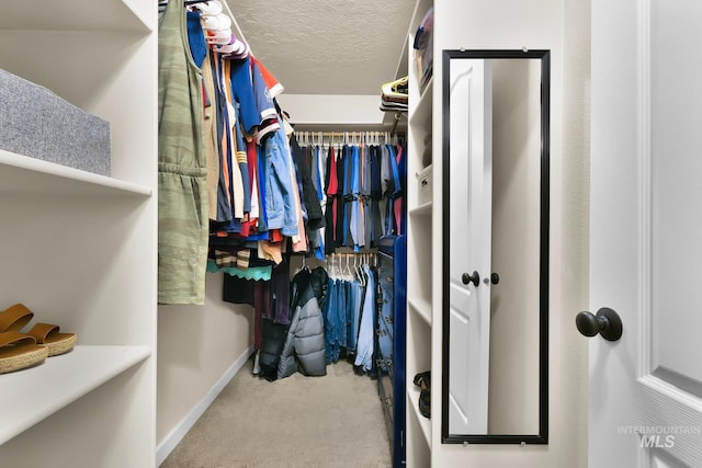 3031 N Christian Way, Meridian, ID 83646 - walk in closet with carpet