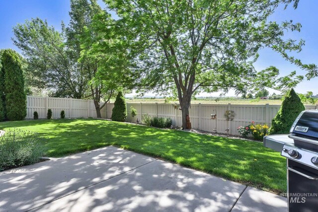 3031 N Christian Way, Meridian, ID 83646 - fenced backyard featuring a patio area