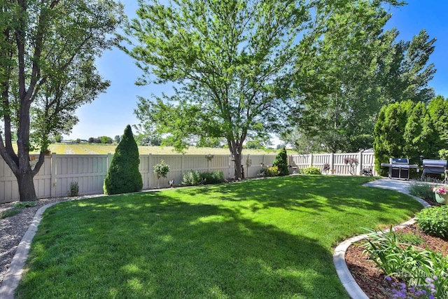 3031 N Christian Way, Meridian, ID 83646 - view of fenced backyard