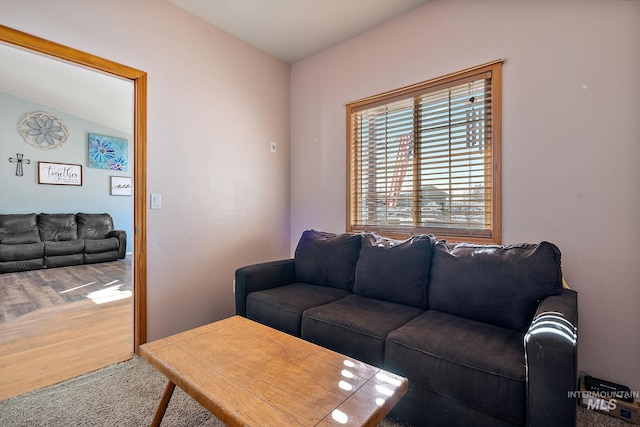 living room featuring wood-type flooring