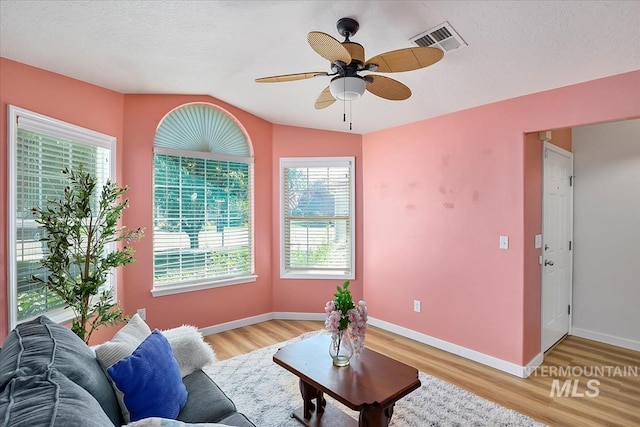 2888 W Wilder St, Meridian, ID 83642 - living room with light wood finished floors, vaulted ceiling, and a ceiling fan