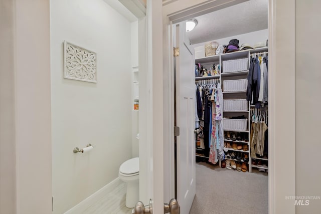 12371 S Abbott Downing Way, Nampa, ID 83686 - interior space with toilet, baseboards, and a spacious closet
