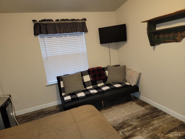 living room featuring dark hardwood / wood-style flooring and lofted ceiling