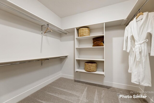 spacious closet with carpet floors