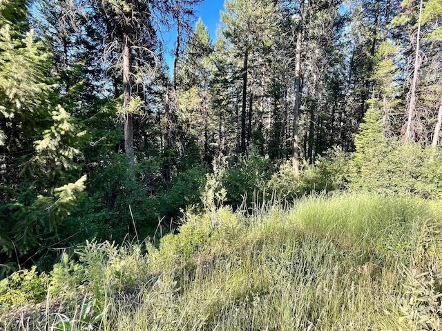 Listing photo 3 for TBD Thistle Down Rd, New Meadows ID 83654