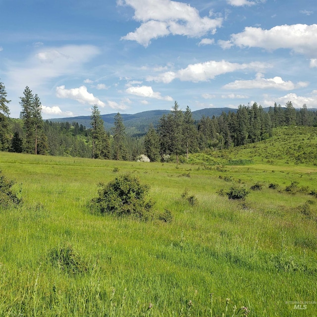 view of mountain feature featuring a rural view