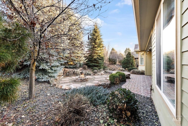 view of yard featuring a patio area