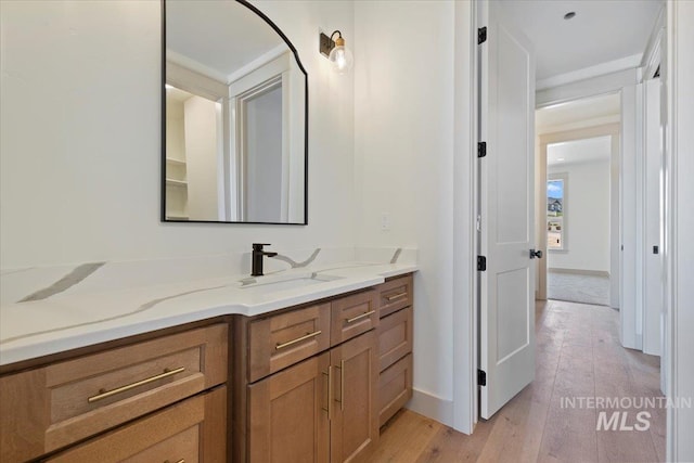 bathroom with baseboards, wood finished floors, and vanity