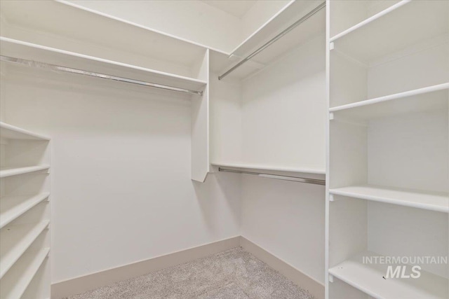 spacious closet with carpet