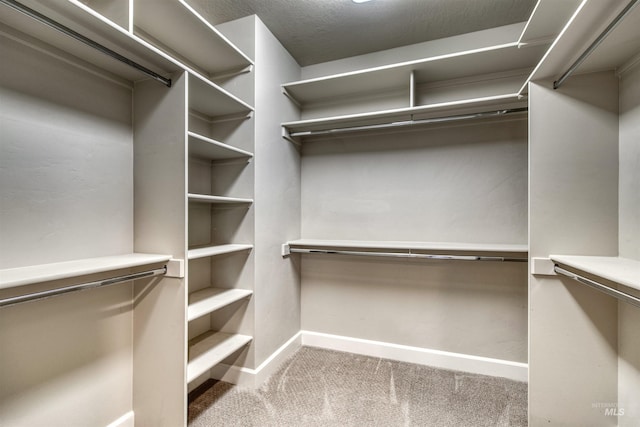 spacious closet with carpet