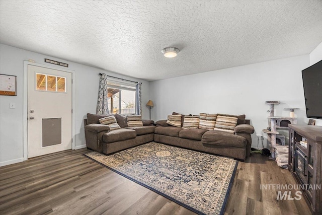 408 Tanoak Cir, Nampa, ID 83686 - living room with wood finished floors, a textured ceiling, and baseboards