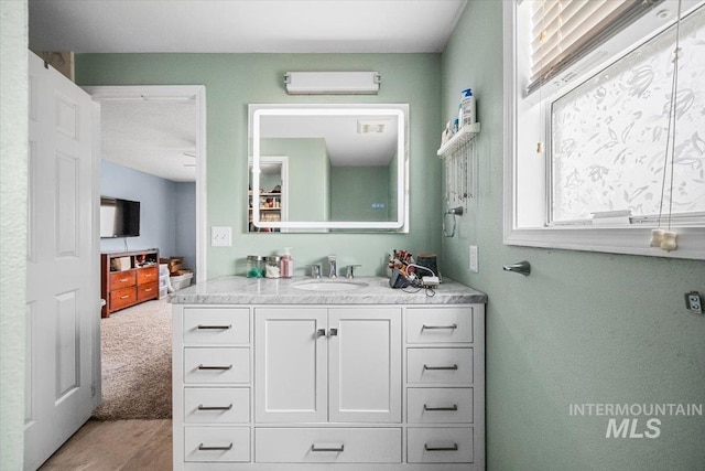 408 Tanoak Cir, Nampa, ID 83686 - bathroom with wood finished floors, vanity, and an AC wall unit