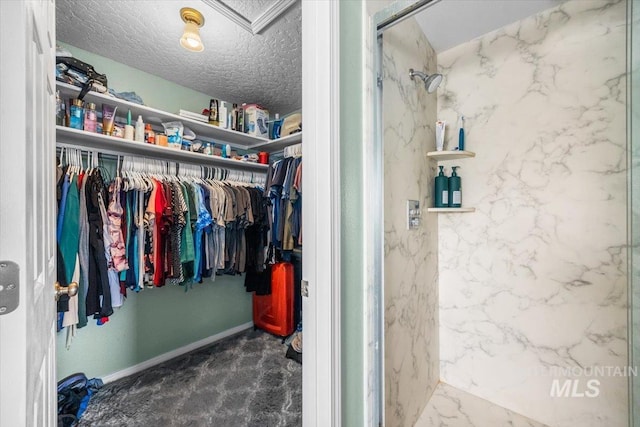 408 Tanoak Cir, Nampa, ID 83686 - spacious closet featuring attic access